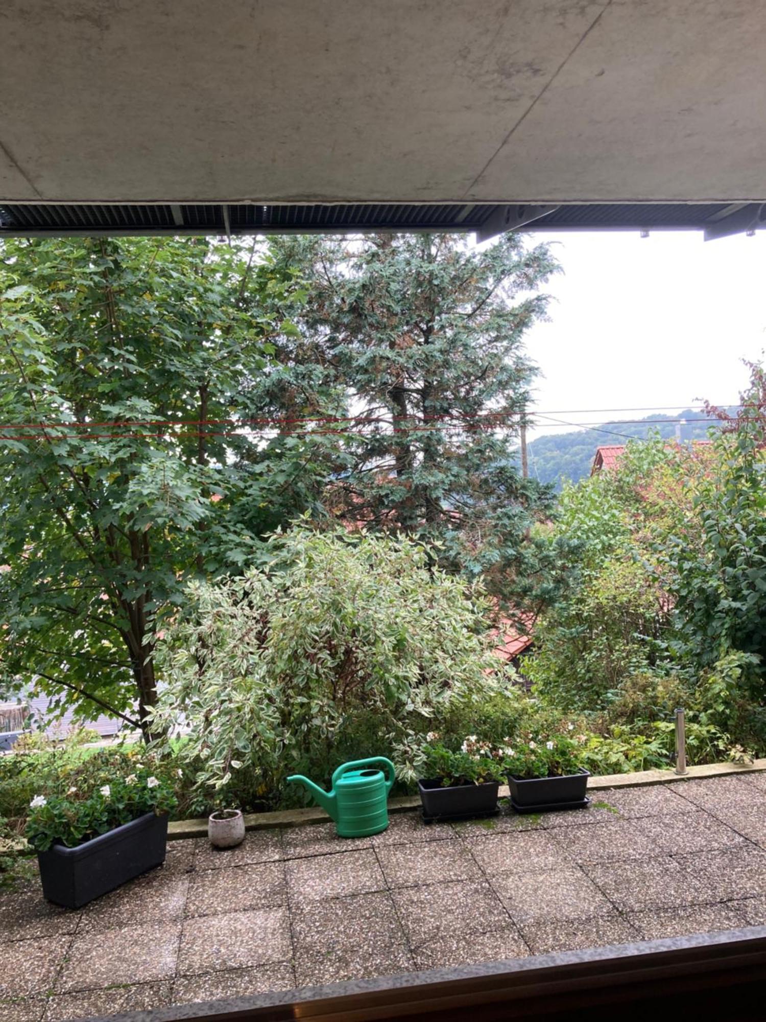 Lichtdurchflutete Ferienwohnung Sankt Johann  Bagian luar foto